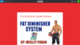 Fat Diminisher System Review